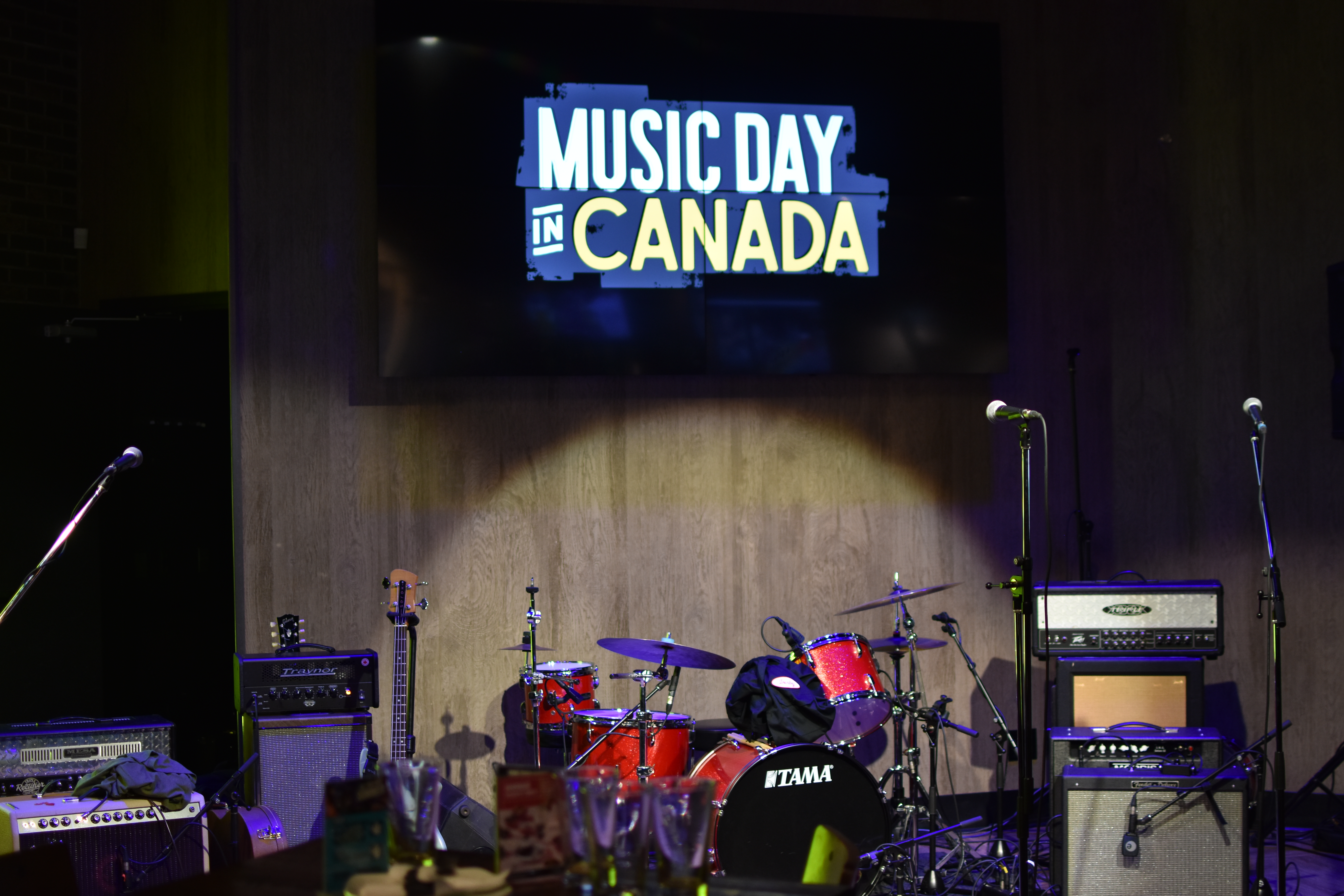 Live music audience in a venue in Barrie